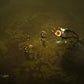 Diablo-III-Eternal-Collection-bazaar-bazaar-com-5